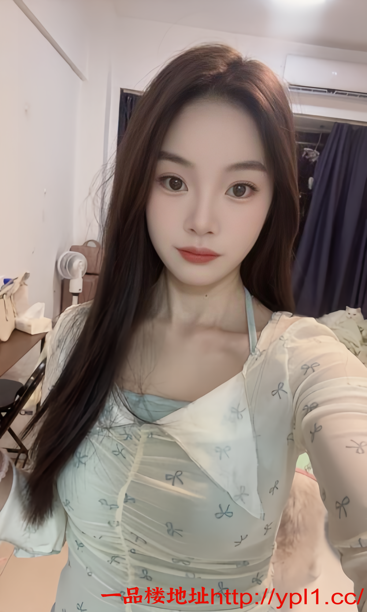 quality_restoration_20250424040151723.png